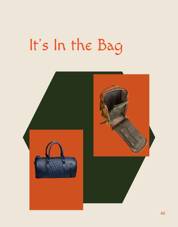 BCB brochure page 43