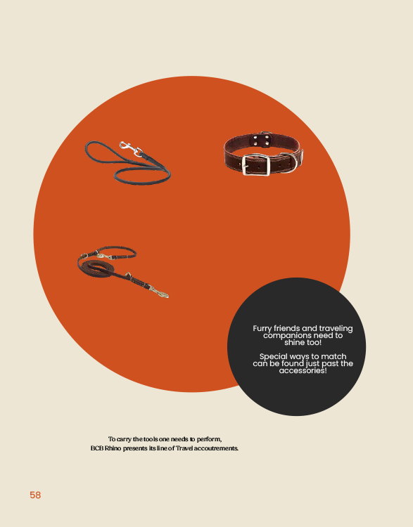 BCB brochure page 58